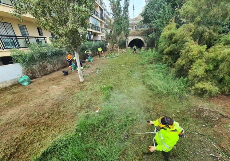 Primeros trabajos de limpieza y desbroce en el cauce del arroyo El Jardín.