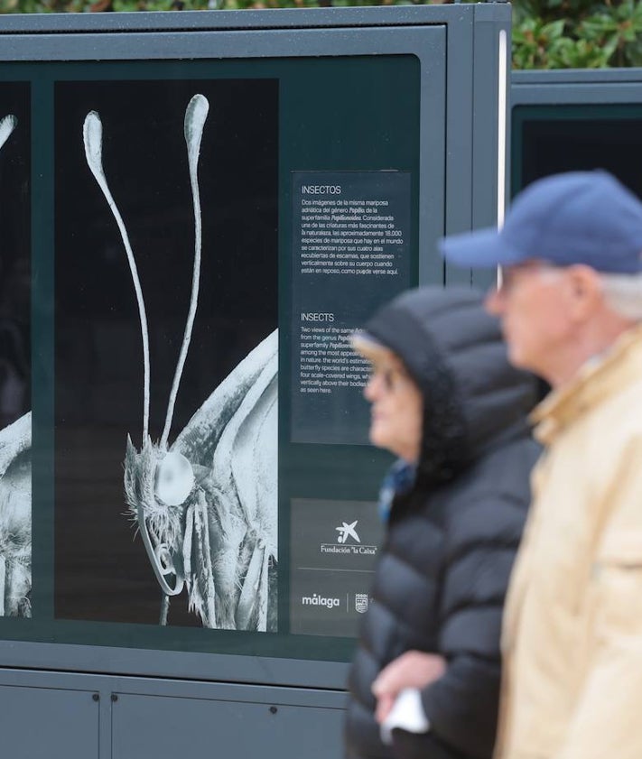 Imagen secundaria 2 - Algunos detalles de la exposición de calle Alcazabilla. 