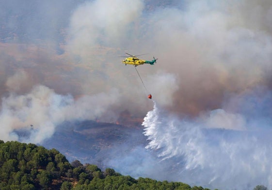 El periodo de alto riesgo de incendios acaba con 6.062 hectáreas quemadas en Andalucía