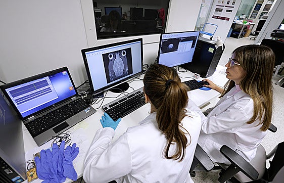 El equipo técnico y humano del Ibima ha ido creciendo en los últimos años de forma exponencial.