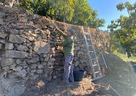 Un vecino de Algarrobo, reparando un balate en una finca de subtropicales.