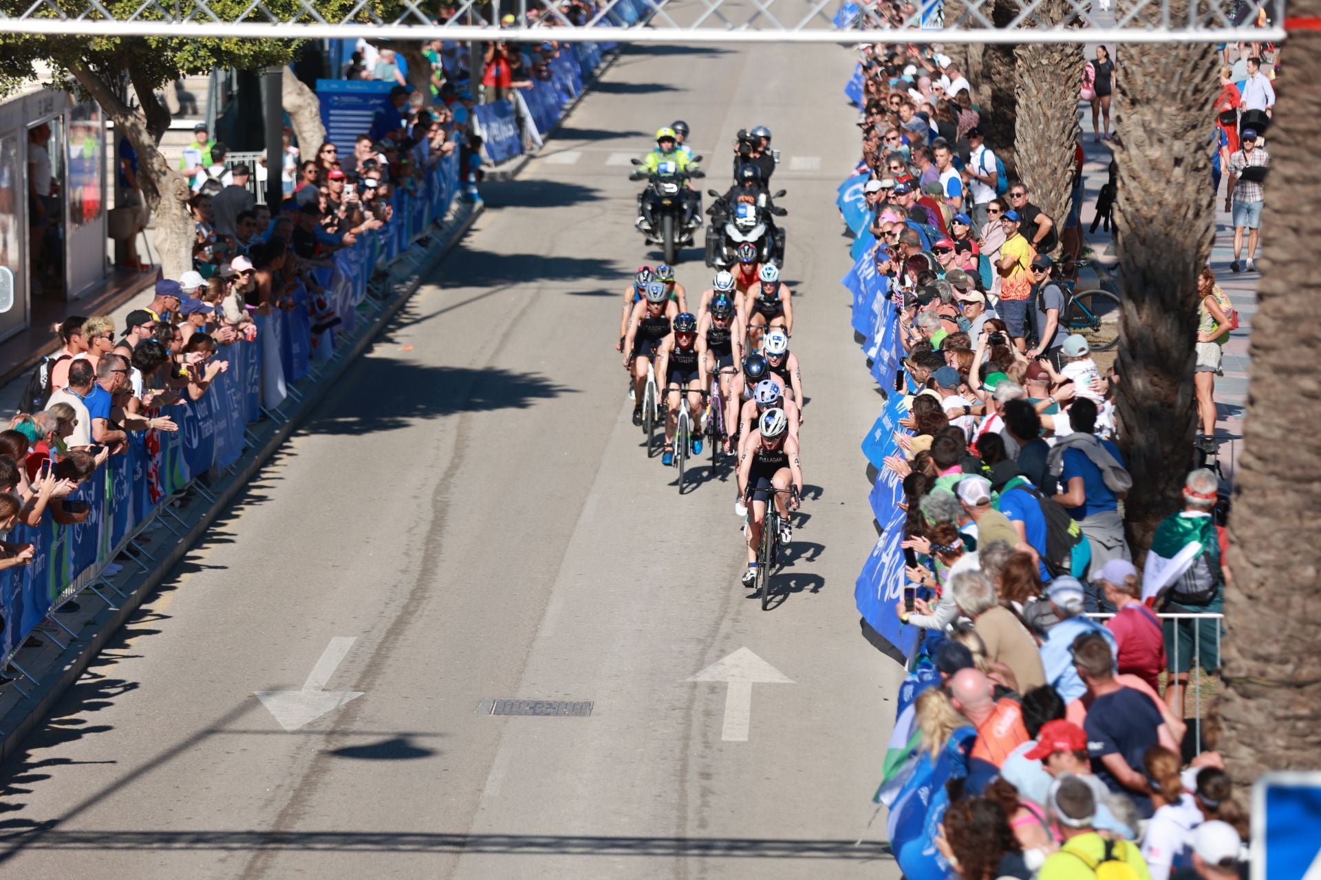 Élite Femenina Triatlón