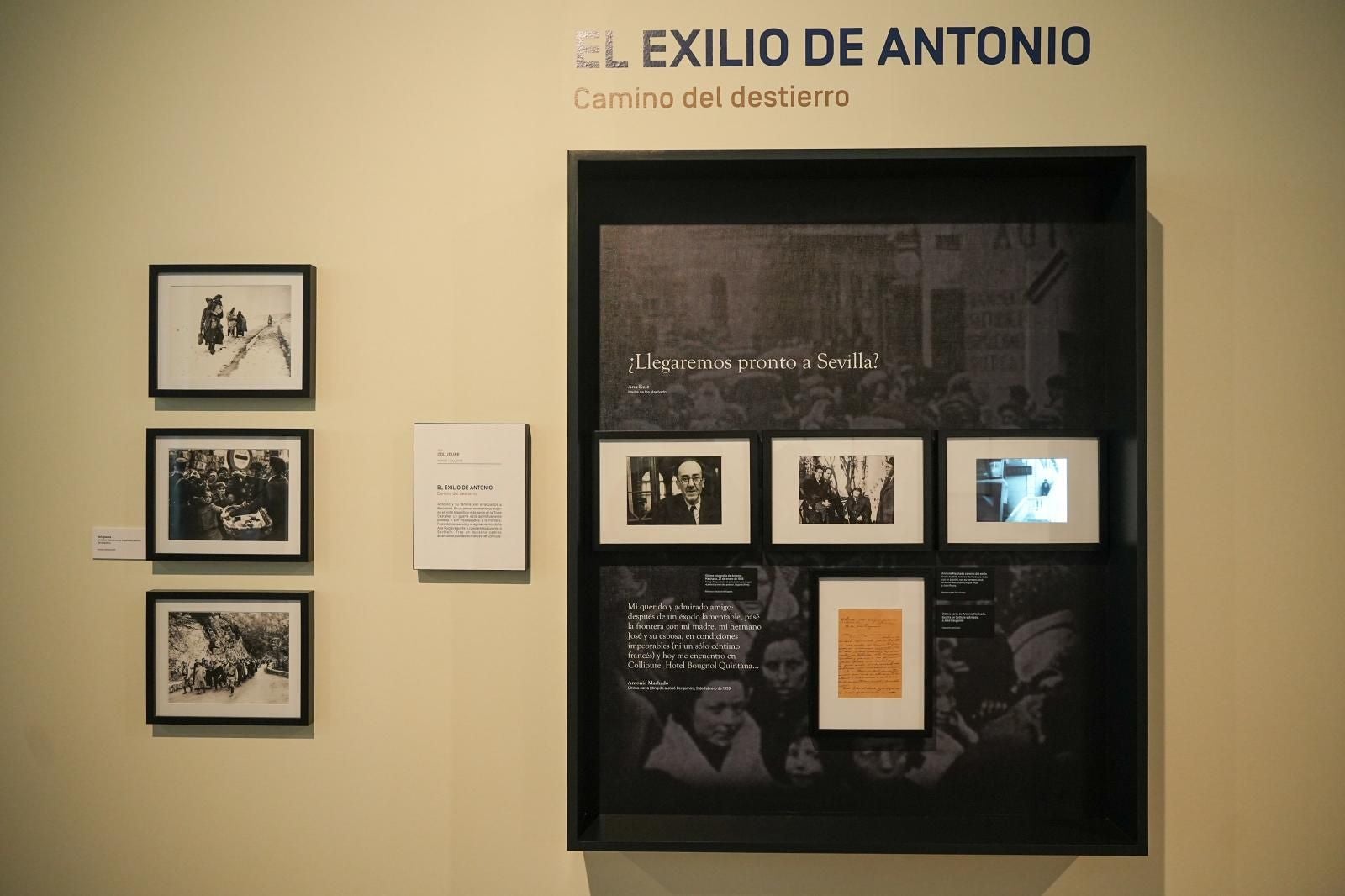 El Rey inaugura en Sevilla la muestra &#039;Los Machado. Retrato de familia&#039; con 200 manuscritos, cartas y fotos