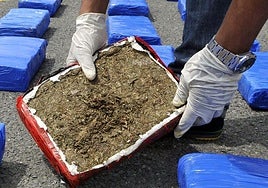 Detenido en Mijas con 180 kilos de marihuana envasada en paquetes tras intentar darse a la fuga