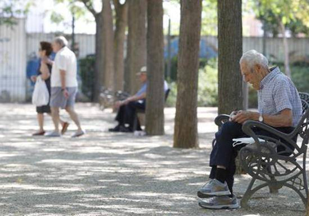 Pensión de viudedad y subsidio para mayores de 52 años: el SEPE pone condiciones al cobro simultáneo