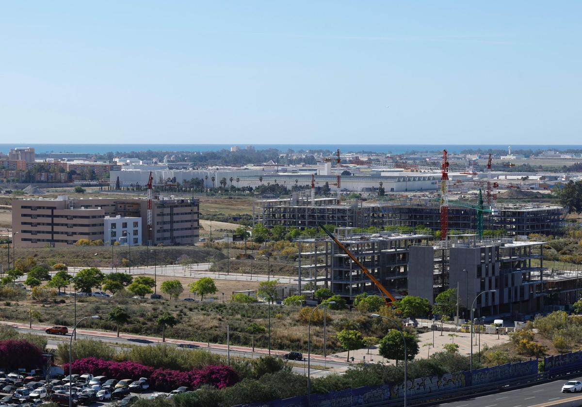 Obras para pisos de VPO que realiza el Ayuntamiento en los suelos ubicados al oeste de la Universidad.