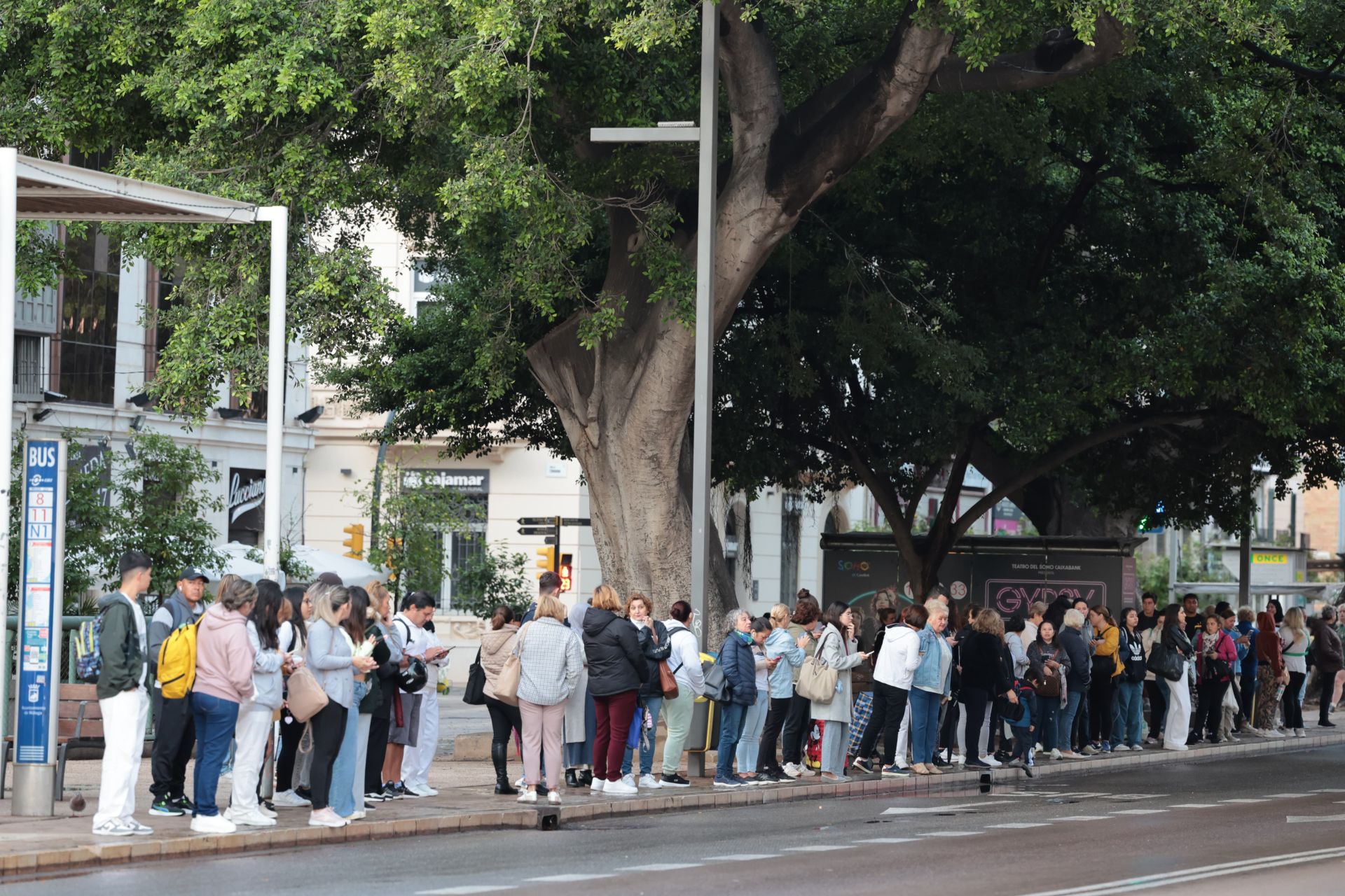 Largas colas en las paradas de autobús en Málaga por la huelga de conductores