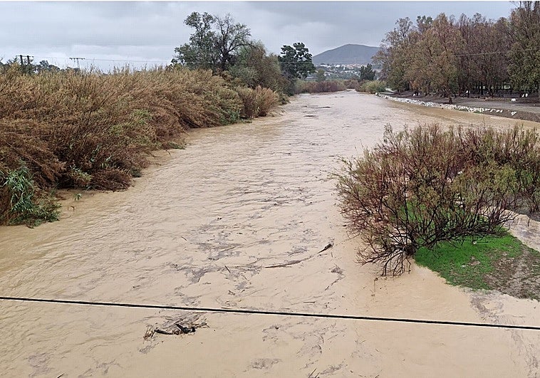 Crecida del Guadalhorce a su paso por Cártama.