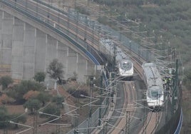 Un tren AVE pasa junto al convoy descarrilado.