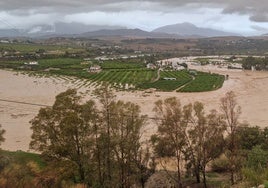 Numerosas explotaciones agrícolas se han visto dañadas.