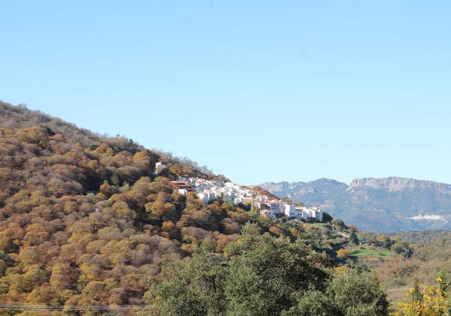 Pujerra, como otros pueblos del Alto del Genal, se prepara para vivir el Bosque de Cobre.