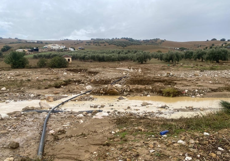 Algunos de los destrozos ocasionados por la DANA en Almogía.