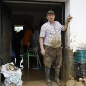 Imagen - «La situación de la finca es catastrófica; muchos alimentos están perdidos, es un desastre»