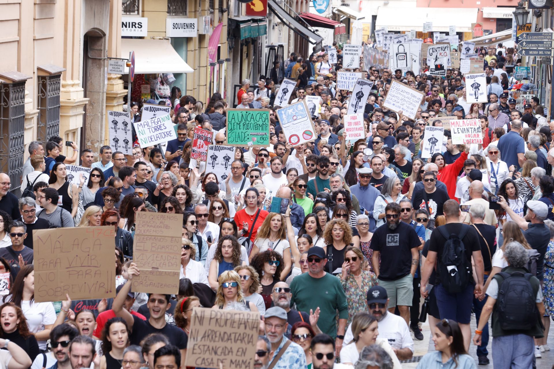 El 9N en Málaga, en imágenes