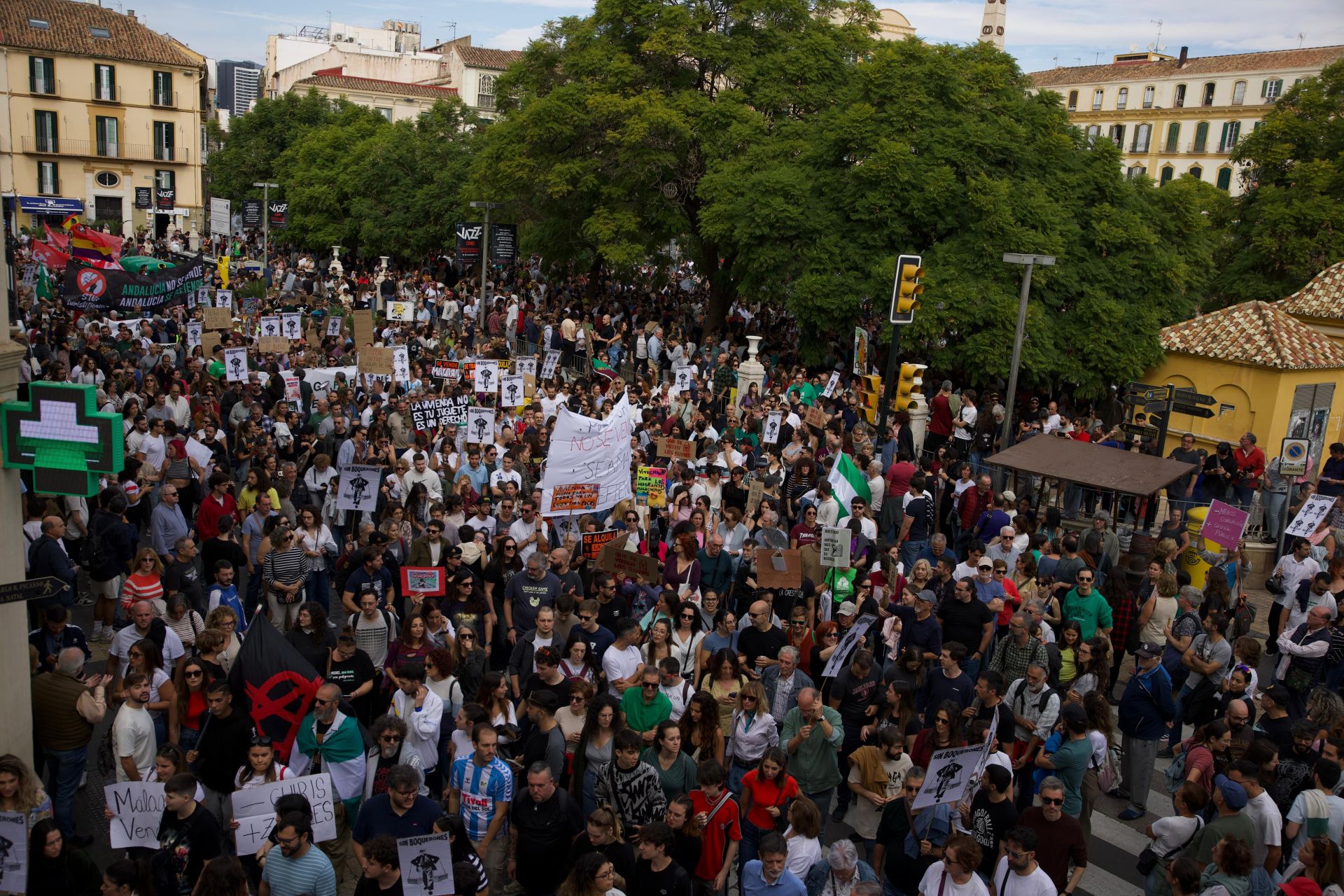 El 9N en Málaga, en imágenes