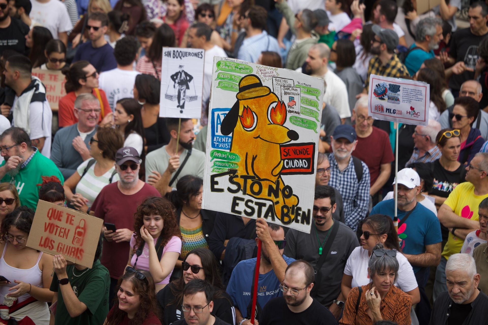 El 9N en Málaga, en imágenes