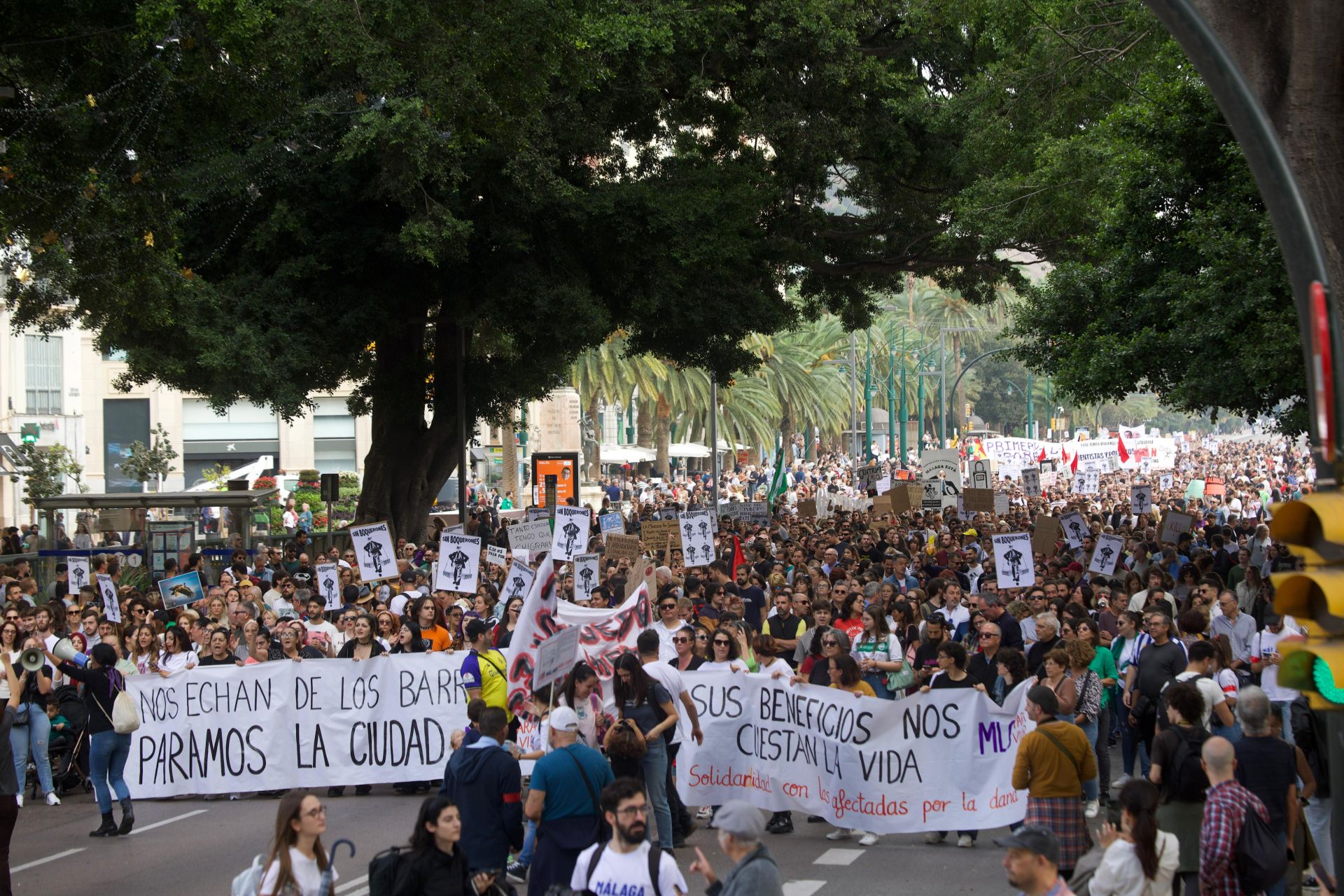 El 9N en Málaga, en imágenes