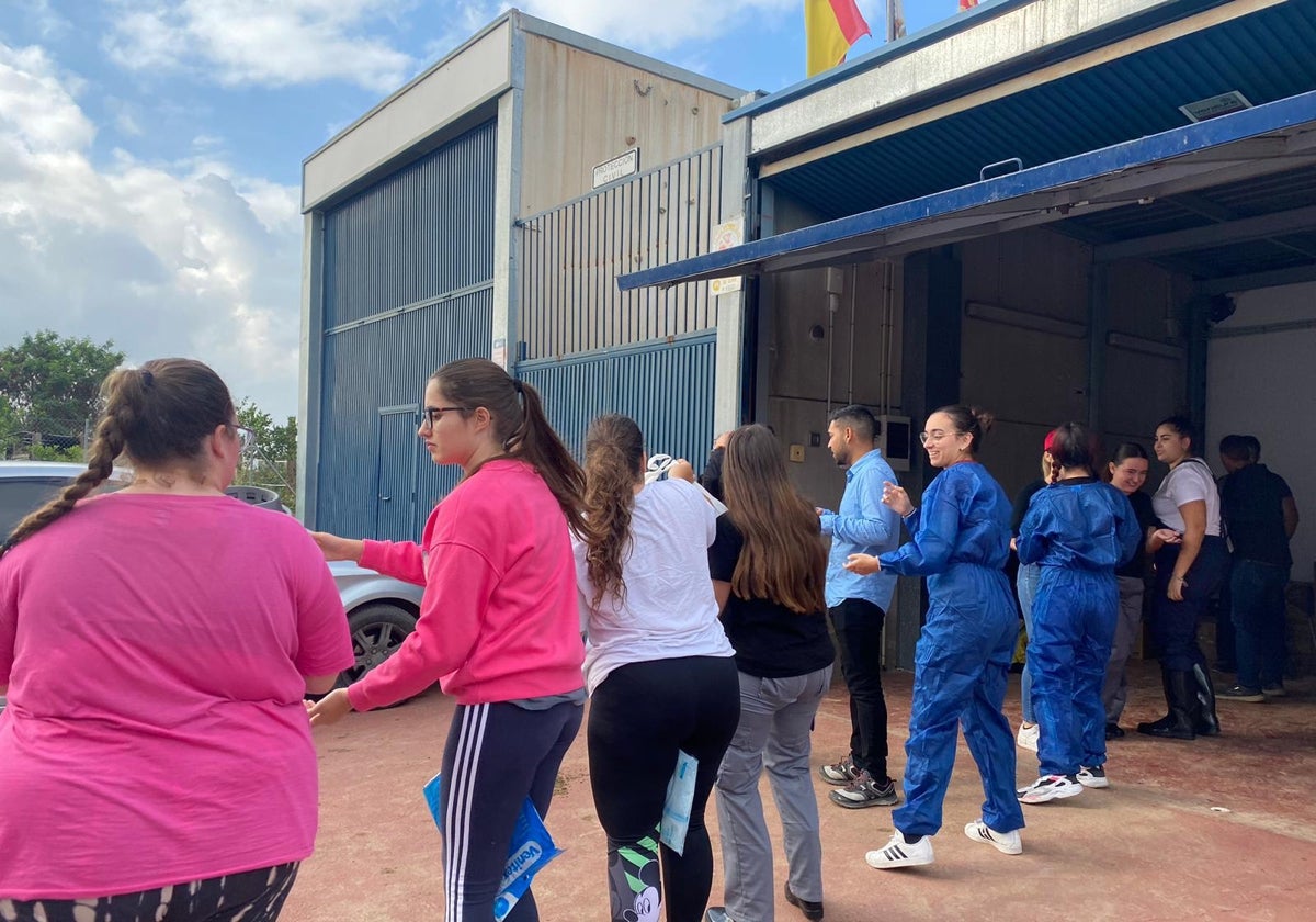 Los estudiantes de la UMA colaboran en las tareas de limpieza y de reparto de materiales.