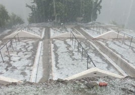 Imagen de paseros con un manto blanco de granizo, este miércoles en El Borge.