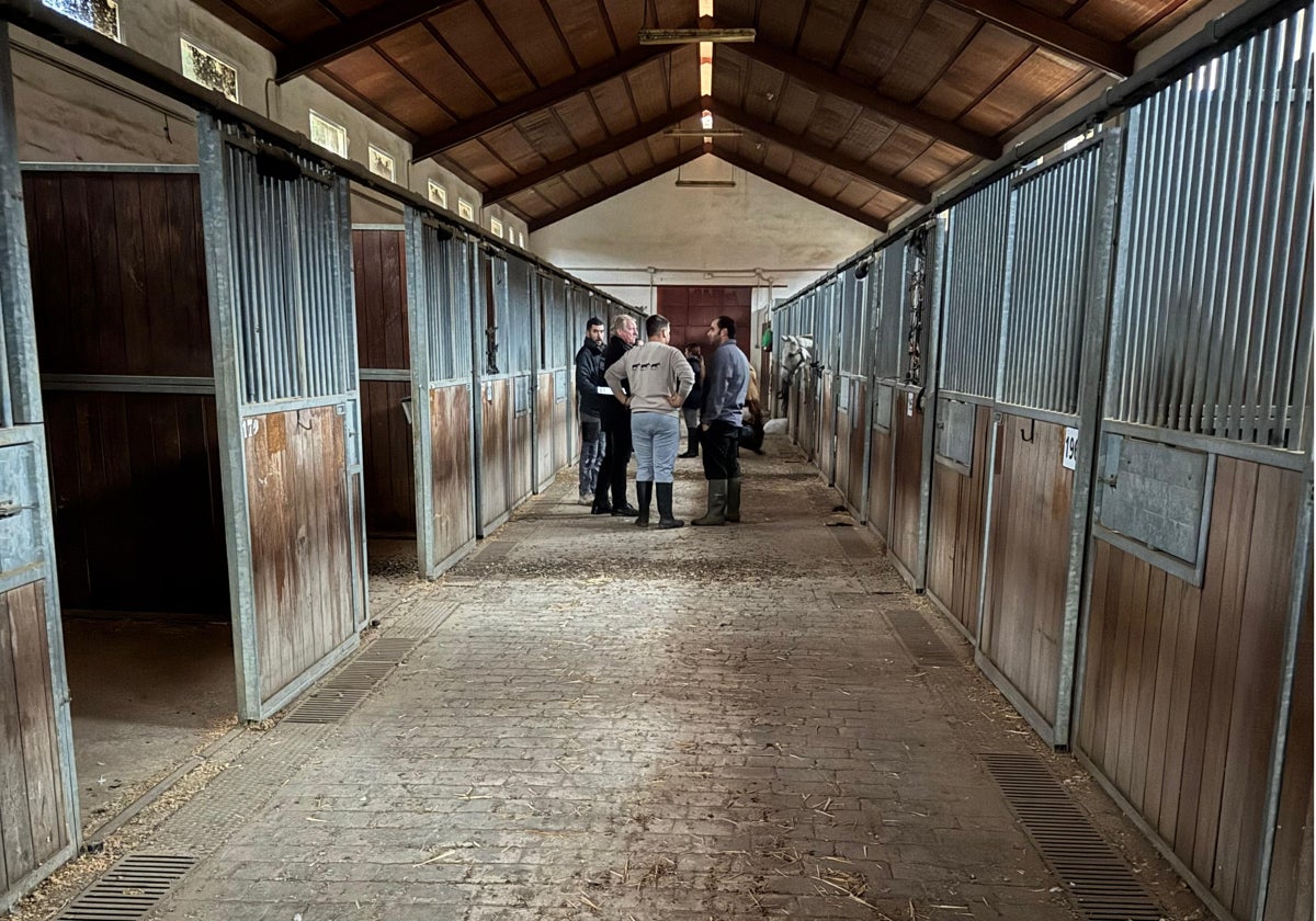 Instalaciones habilitadas en el Hipódromo de Mijas.