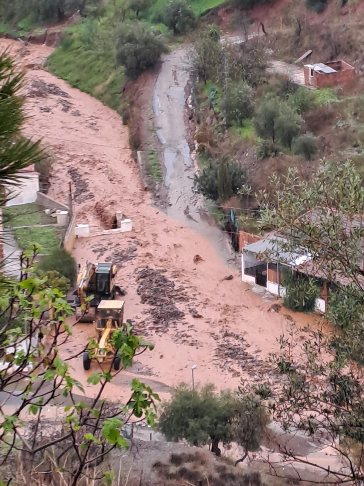 Pedanía de Almogía (Barranco del Sol).