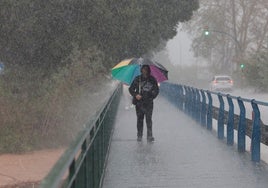 La carretera de Campanillas es una de las que está afectada por los cortes.