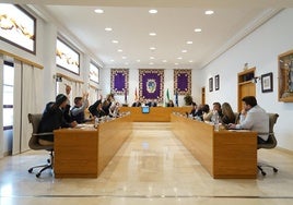 El Pleno del Ayuntamiento de Coín durante la votación de los presupuestos municipales para 2025.