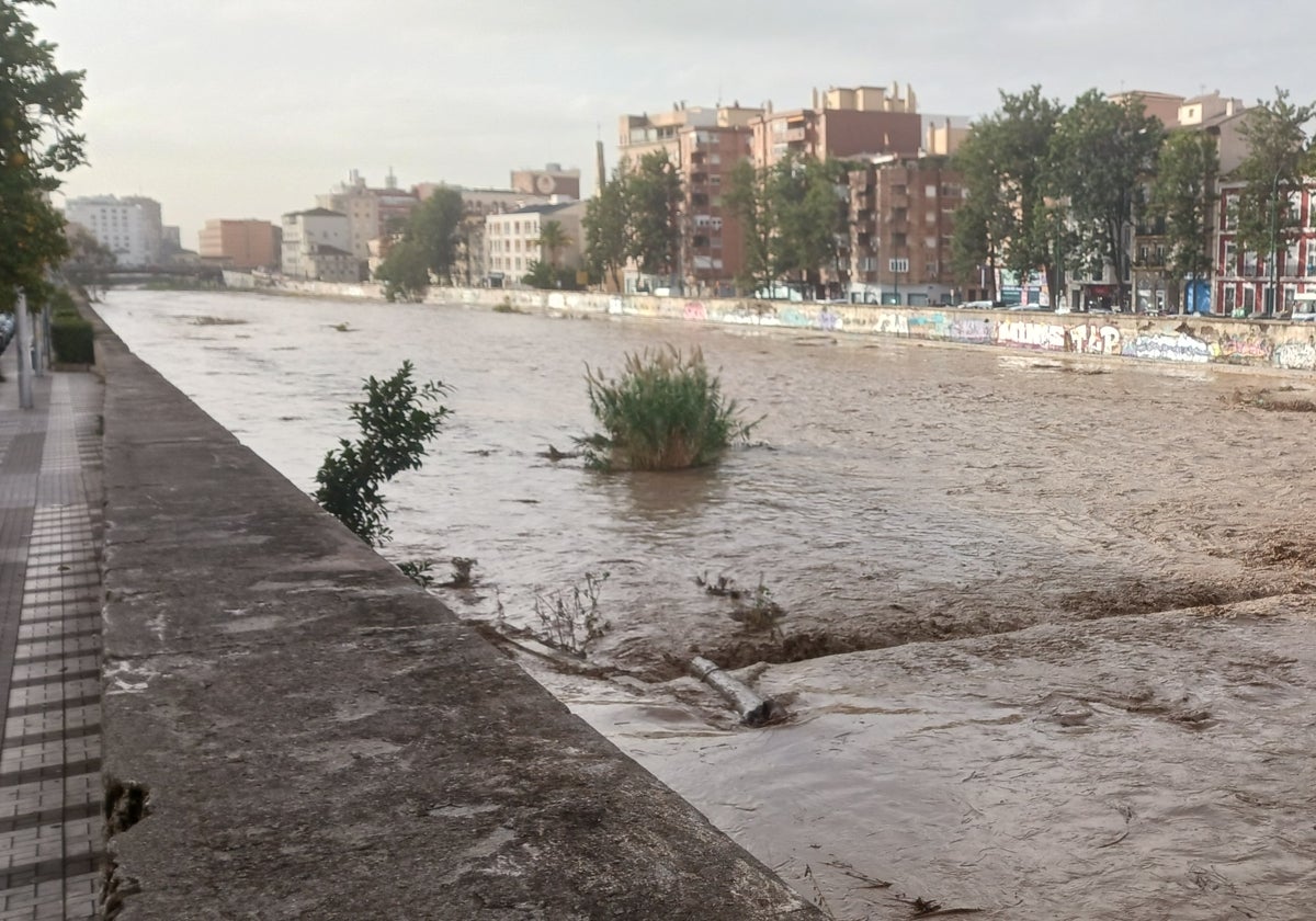 Los 'puentes-plaza' del Guadalmedina más cerca: el Ayuntamiento contrata el diseño