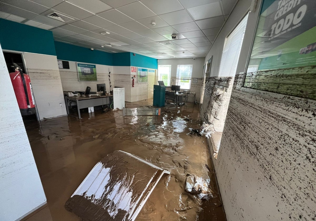 Imagen del nivel que alcanzó el agua dentro de la oficina de Cajamar en Benamargosa.