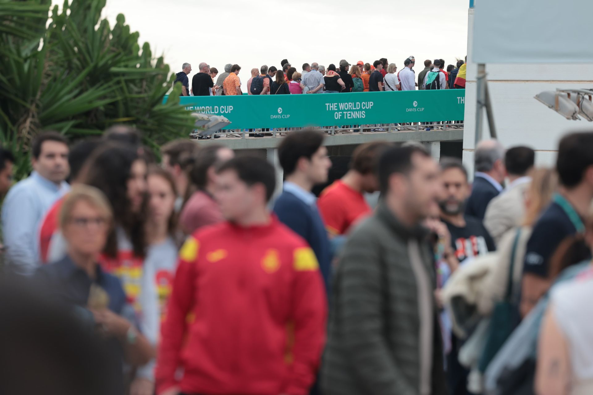 Ambiente a las puertas del Martín Carpena antes del partido 