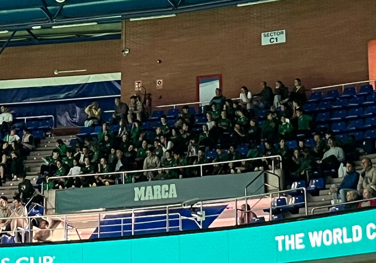 Un grupo de alumnos viendo el último de los tres partidos de la serie que enfrentó a Australia con Estados Unidos.