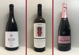 La cata: los vinos recomendados de la cuarta semana de noviembre