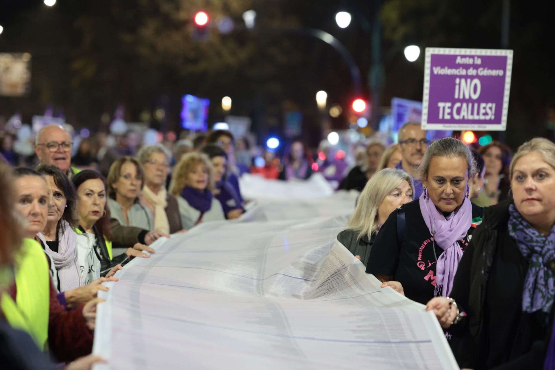 Así ha sido el 25N en Málaga