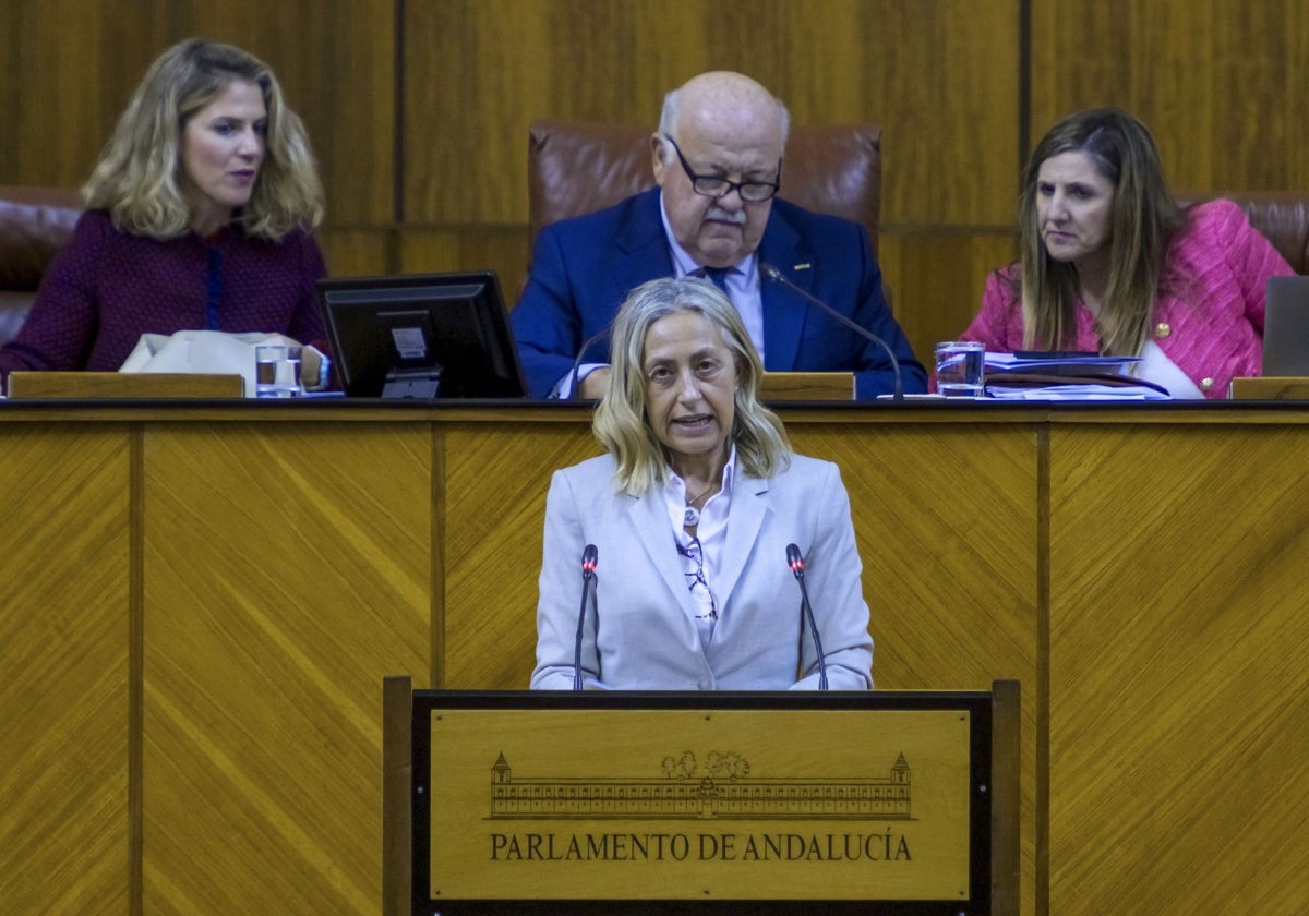 Rocío Hernández, durante su comparecencia.