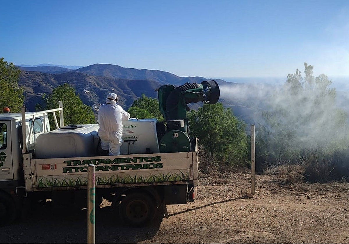 Imagen de una intervención desarrollada en nuestra ciudad.