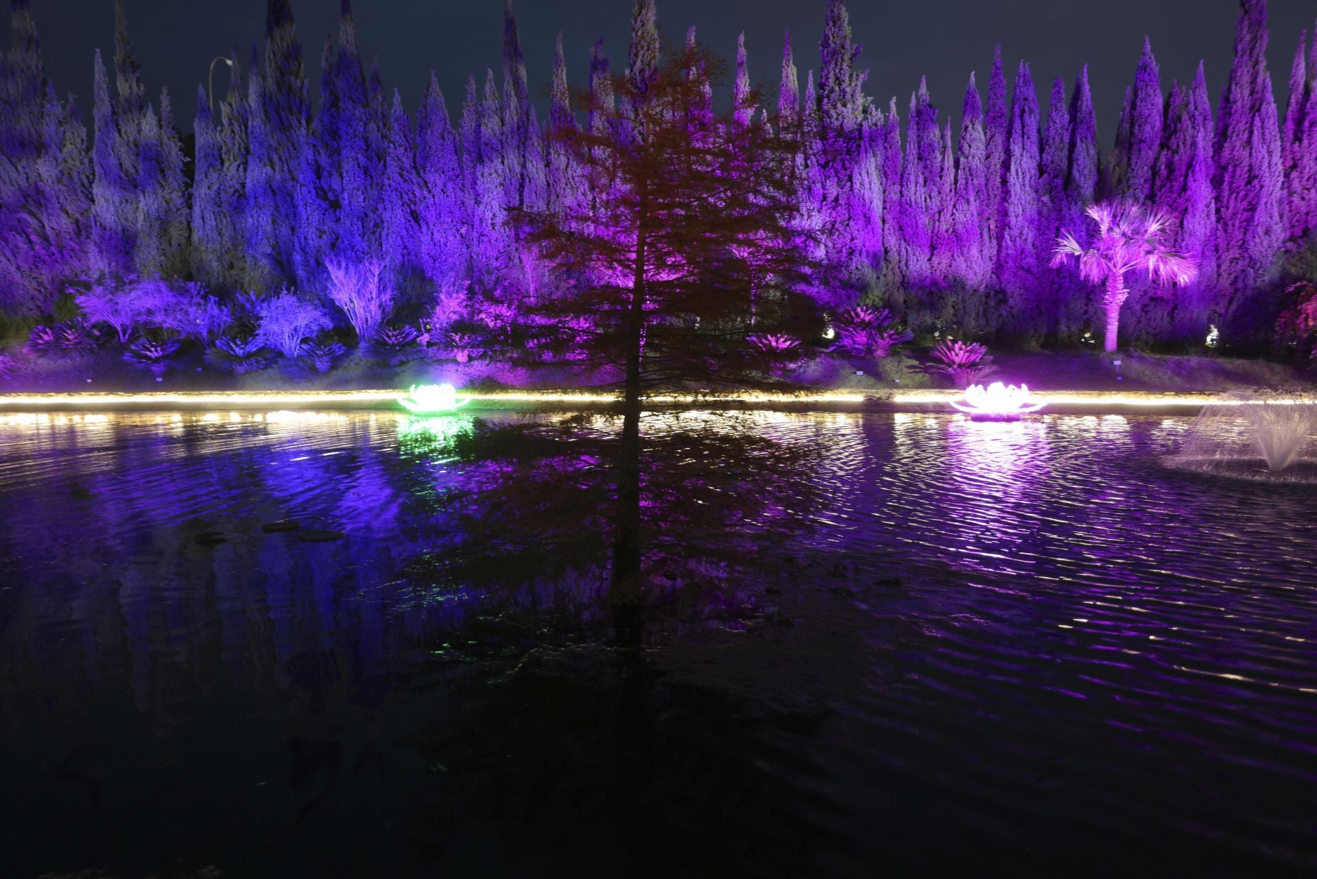 &#039;Ilusión&#039;, el espectáculo navideño de La Concepción, en imágenes