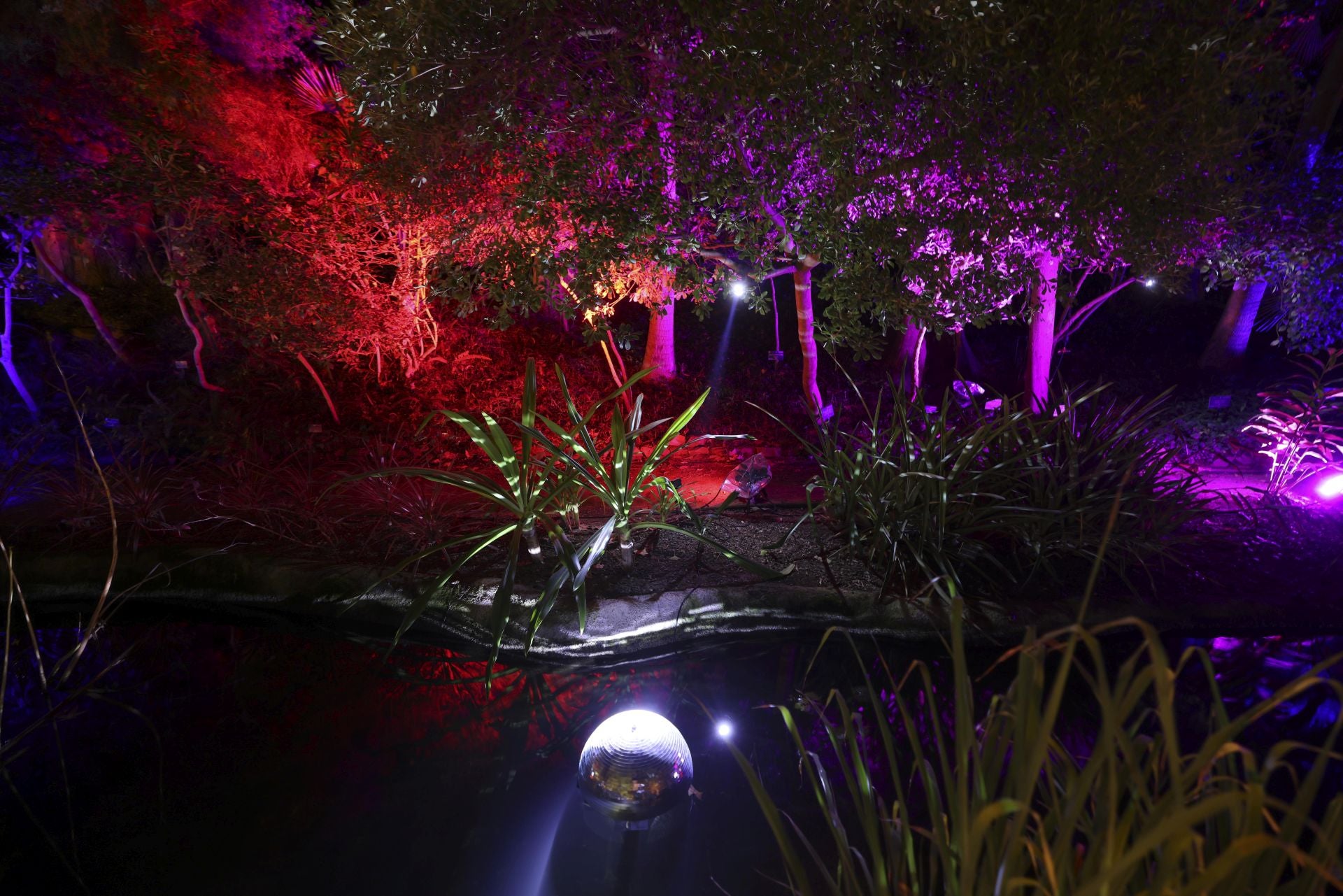 &#039;Ilusión&#039;, el espectáculo navideño de La Concepción, en imágenes