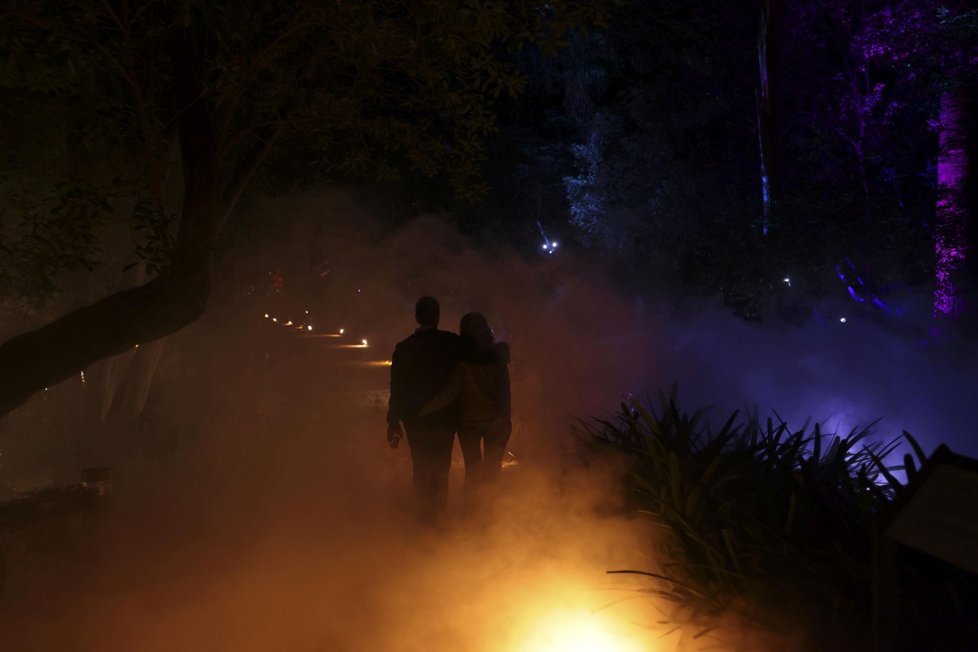 &#039;Ilusión&#039;, el espectáculo navideño de La Concepción, en imágenes