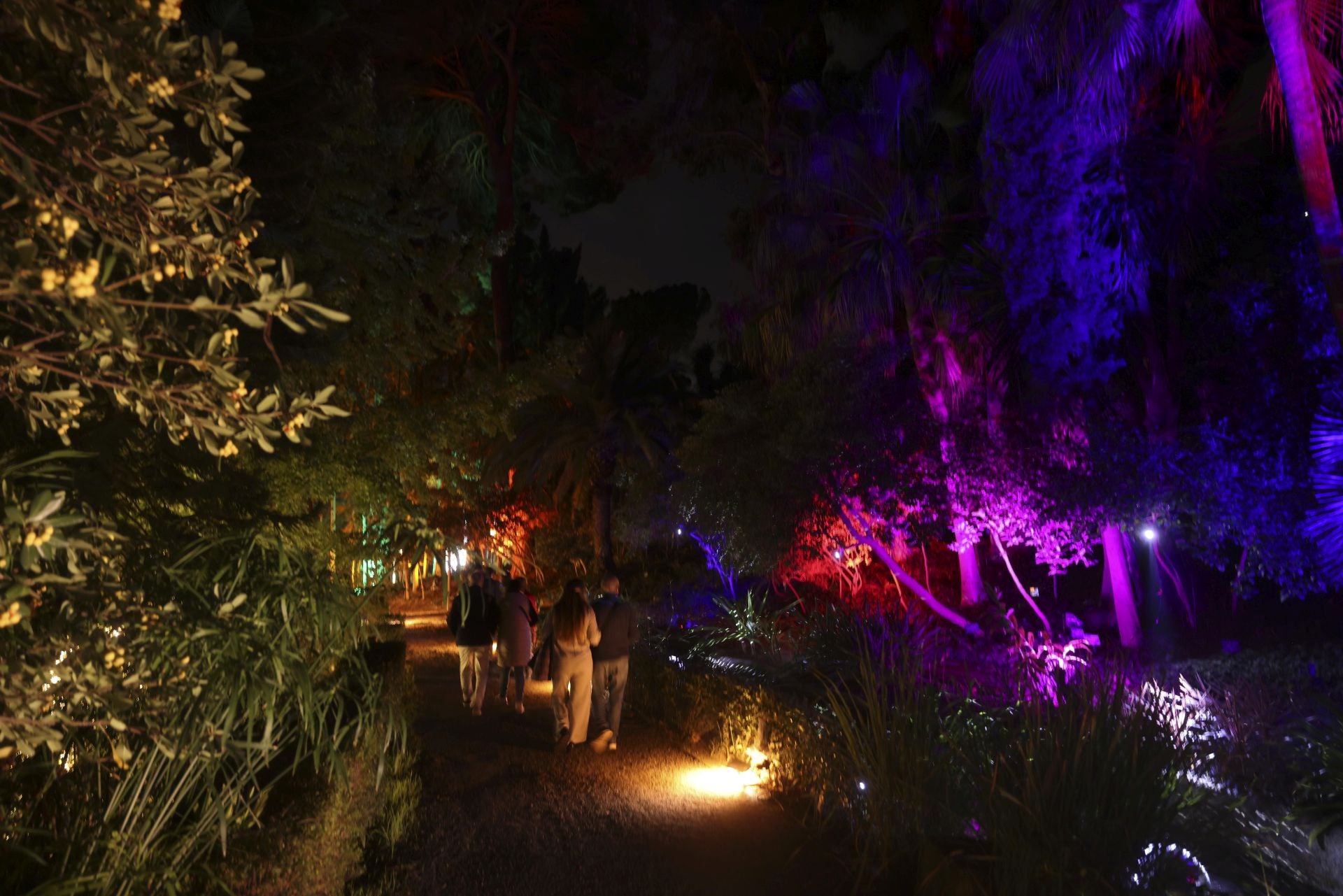 &#039;Ilusión&#039;, el espectáculo navideño de La Concepción, en imágenes