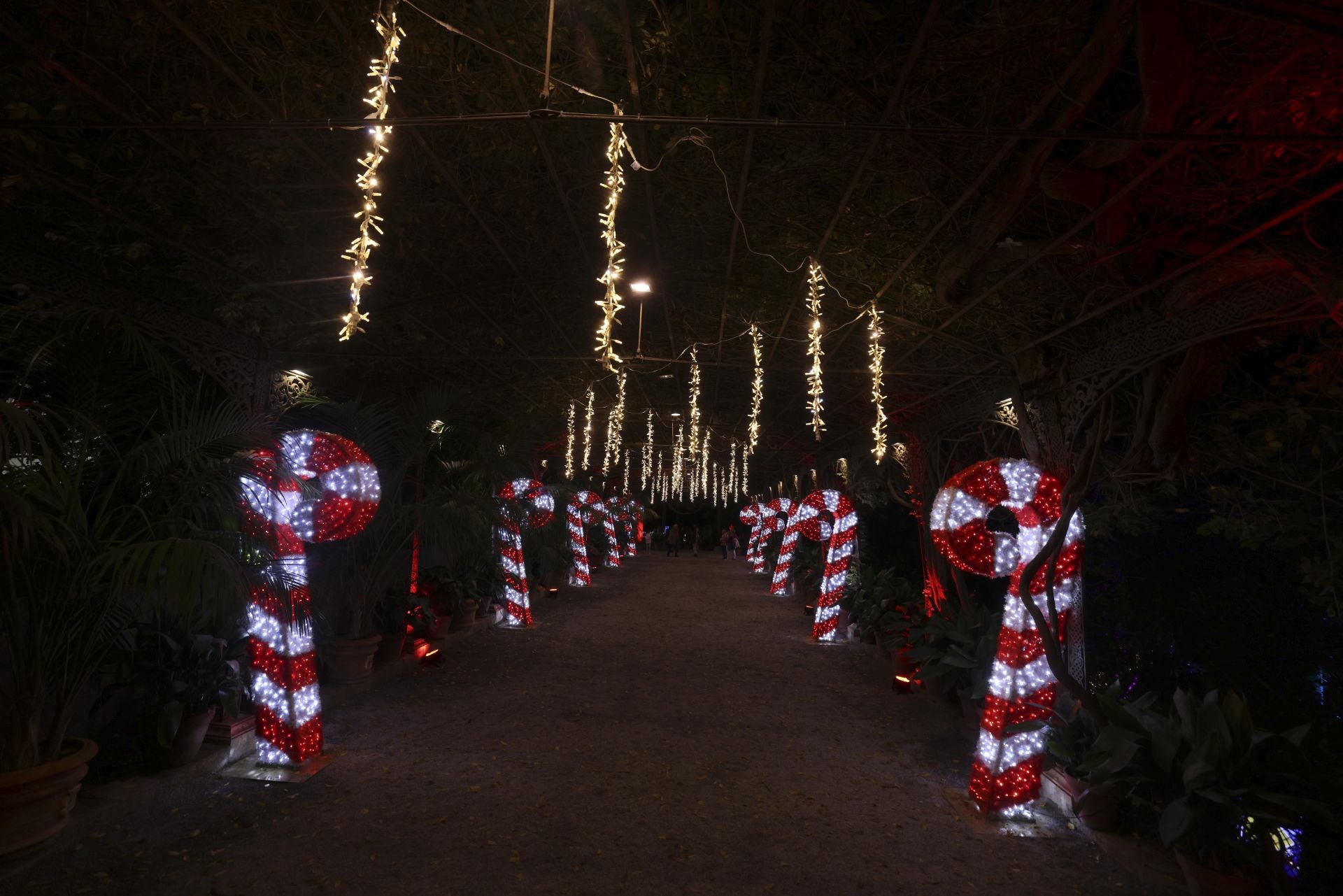 &#039;Ilusión&#039;, el espectáculo navideño de La Concepción, en imágenes