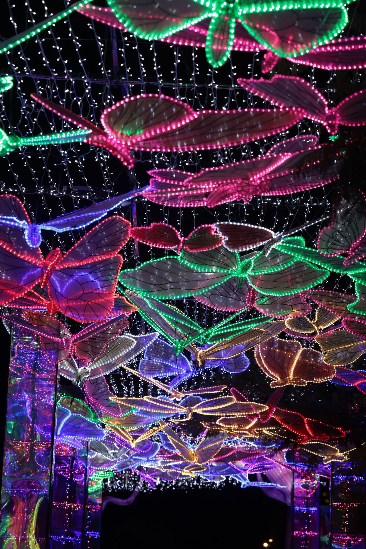 El Festival de las Linternas de Málaga, en fotos