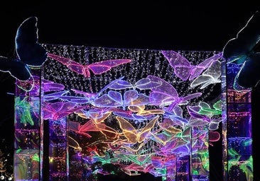 El Parque del Oeste se transforma en una Navidad china