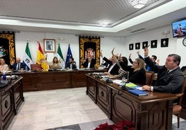 Momento de votación en el pleno de Mijas.