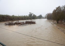 Río Guadalhorce a su paso por Cártama Estación durante la DANA.