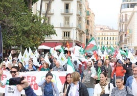 Una imagen de la manifestación que ha recorrido este domingo las calles del Centro.