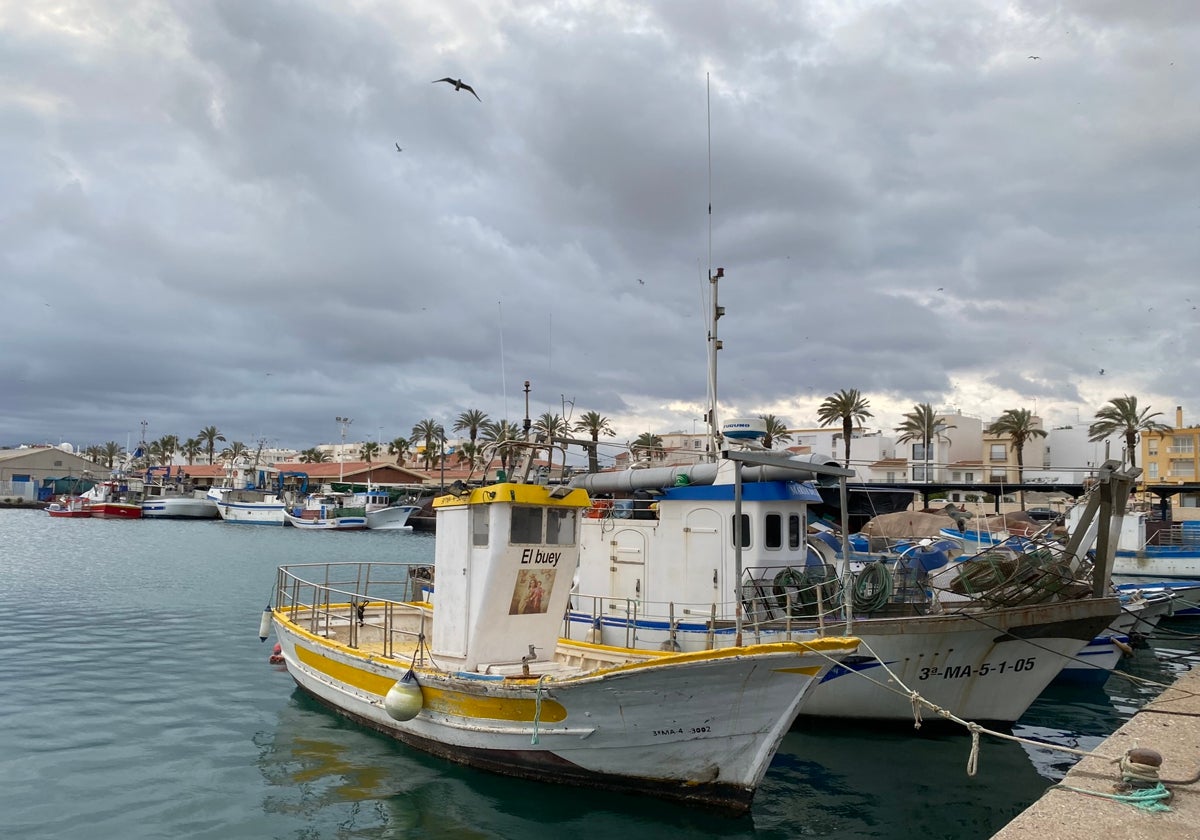 Imagen del puerto pesquera de Caleta de Vélez.