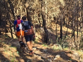 Senderistas por la sierra de Mijas.