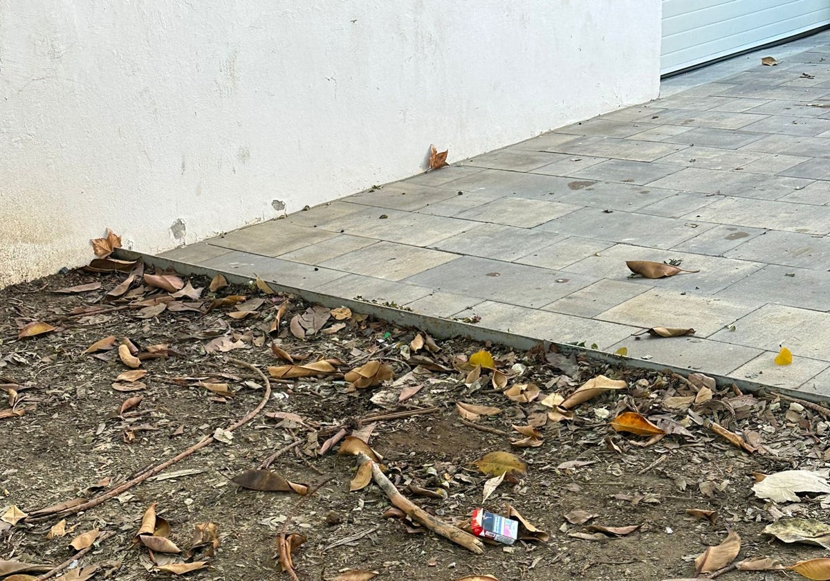 Pintadas y desperdicios en la calle Bolivia.