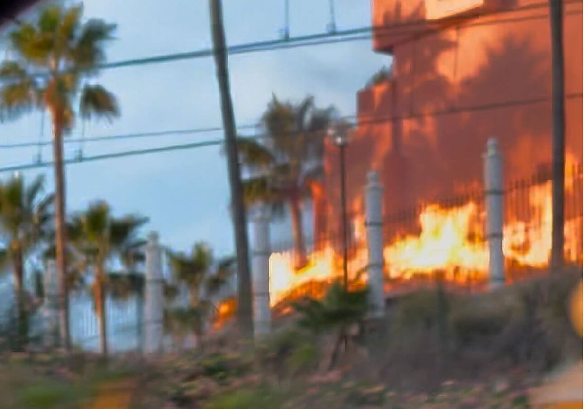 Llamas en el hotel Polynesia.