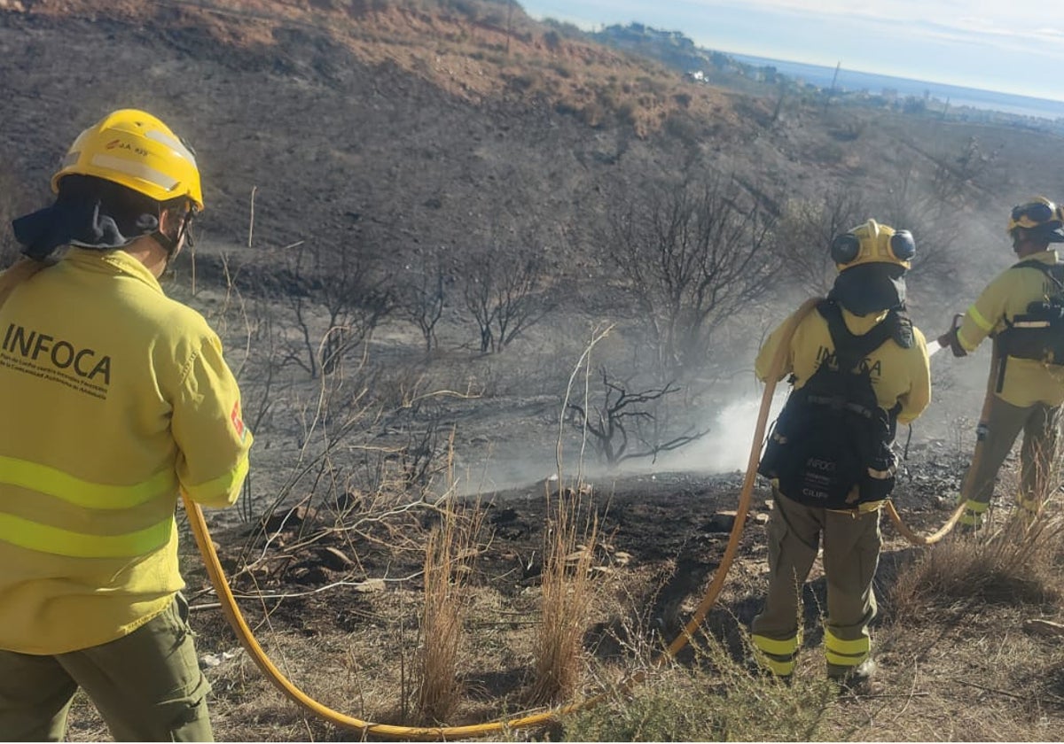 Incendio ocasionado por unos petardos en Las Lomas del Flamenco.